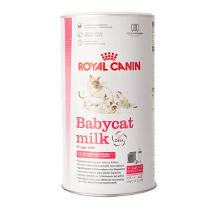 רויאל קנין תחליף חלב אם לגורי חתולים