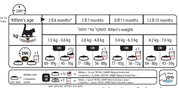 טבלת האכלה רויאל קנין מזון לחתול פרסי גור