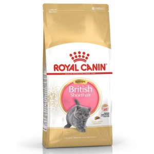 רויאל קנין מזון לגור חתולים בריטי