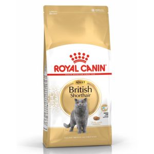 רויאל קנין מזון לחתול בריטי
