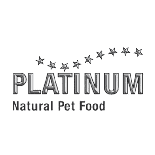 פלטינום - PLATINUM