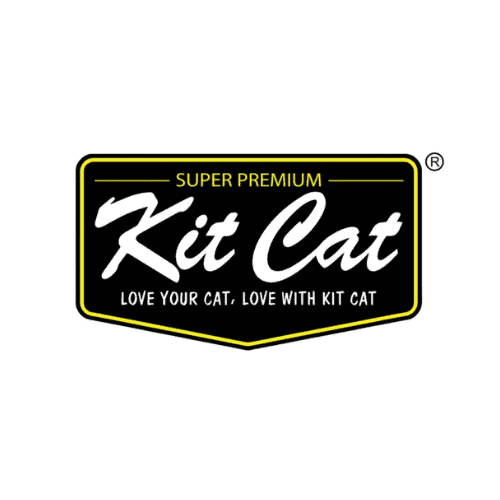 קיט קט - KIT CAT