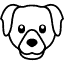 כלבים