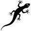 זוחלים