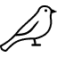 ציפורים