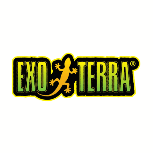 אקזוטרה - EXOTERRA