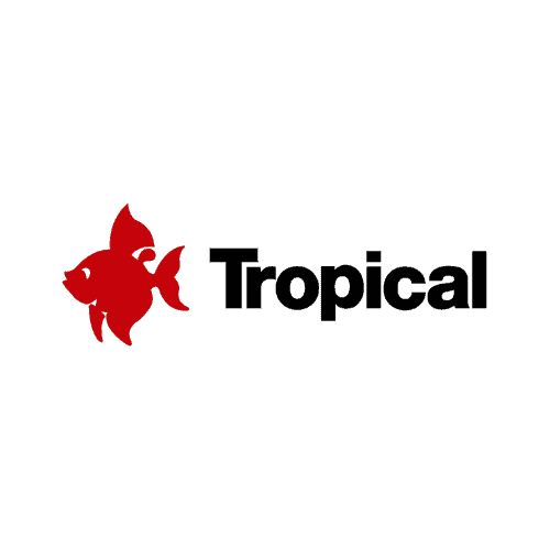 טרופיקל - tropical