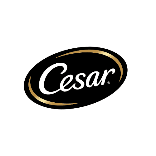 סיזר - CESAR