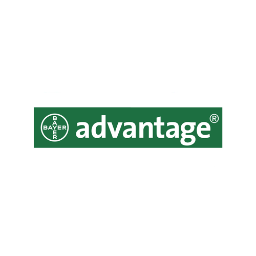 אדוונטג' Advantage